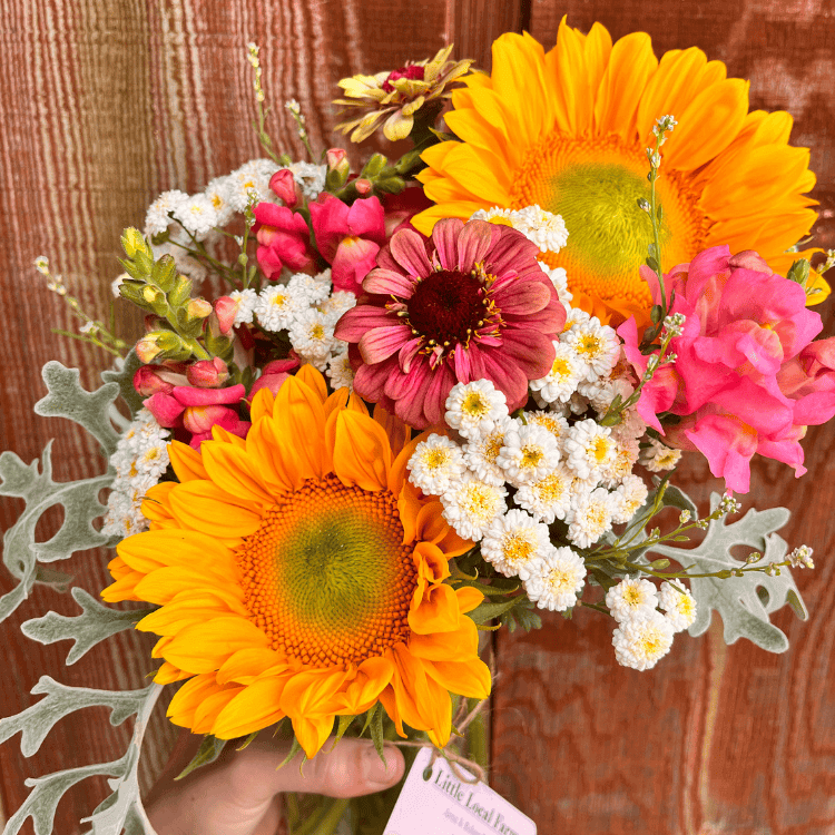 two yellow sunflowers against a red cedar background held in a vase by a hand